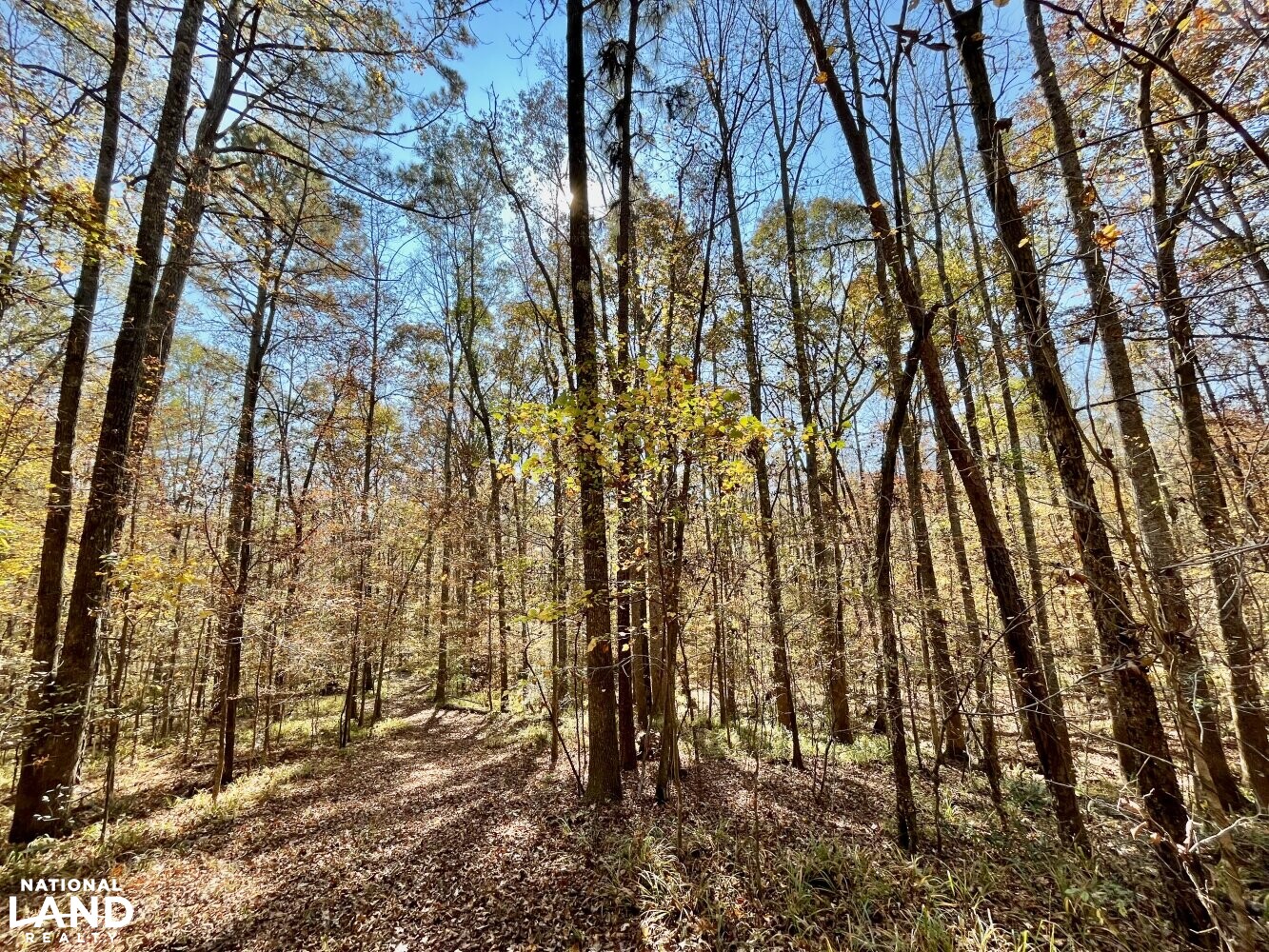 Dunnavant Valley Retreat West Tract in Shelby County, Alabama (27