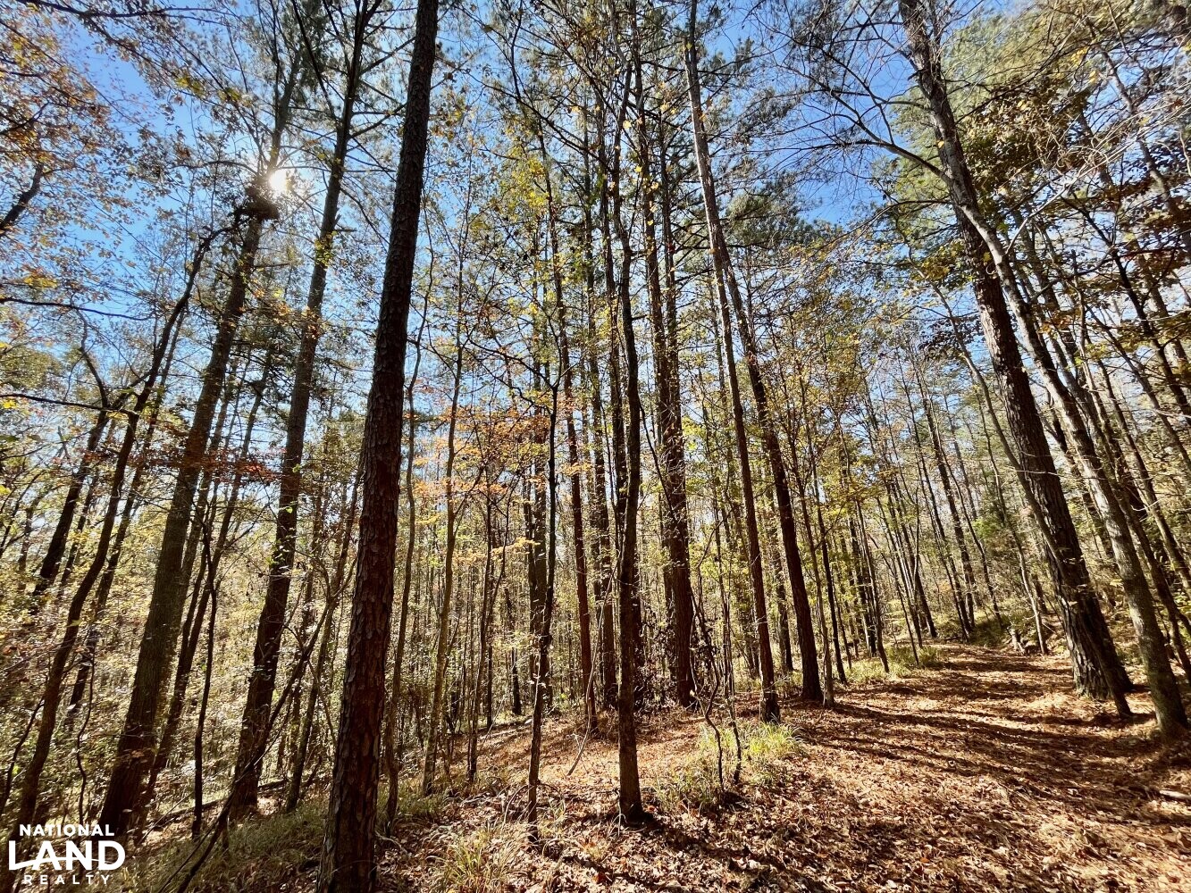 Dunnavant Valley Retreat West Tract in Shelby County, Alabama (27