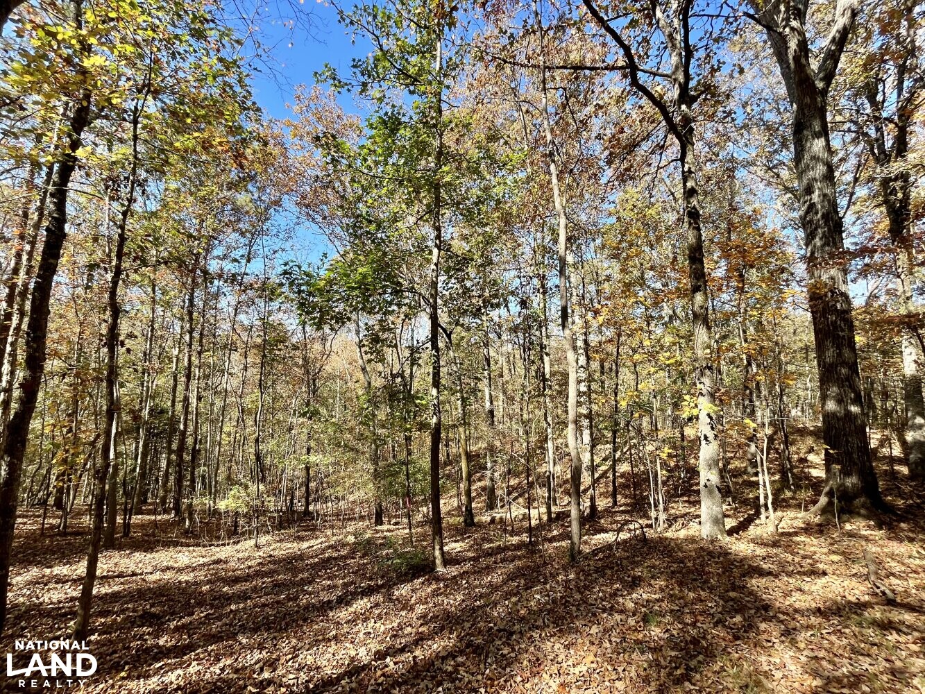 Dunnavant Valley Retreat West Tract in Shelby County, Alabama (27