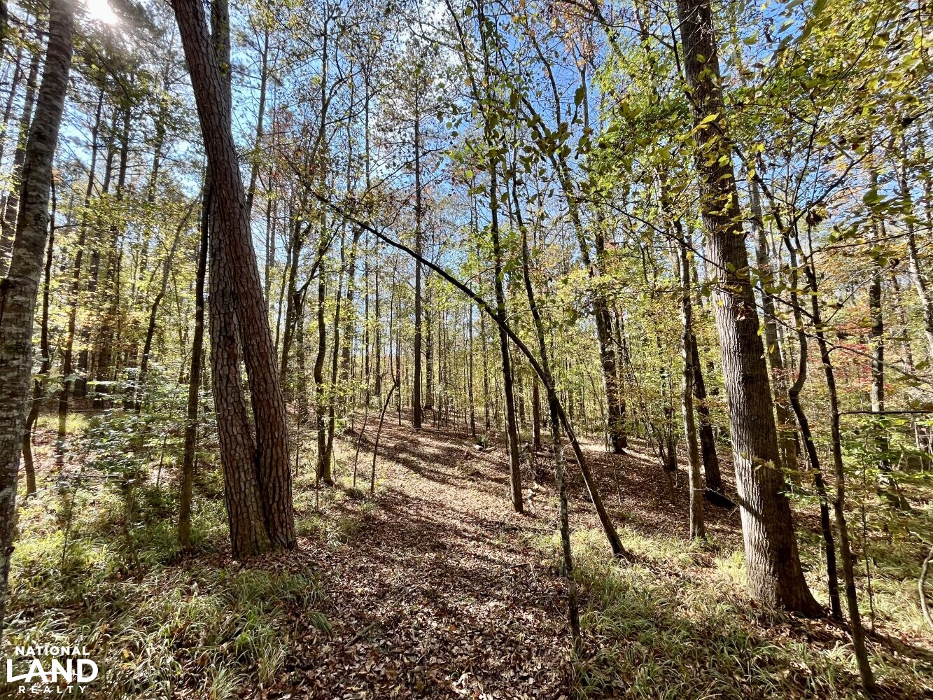 Dunnavant Valley Retreat West Tract in Shelby County, Alabama (27
