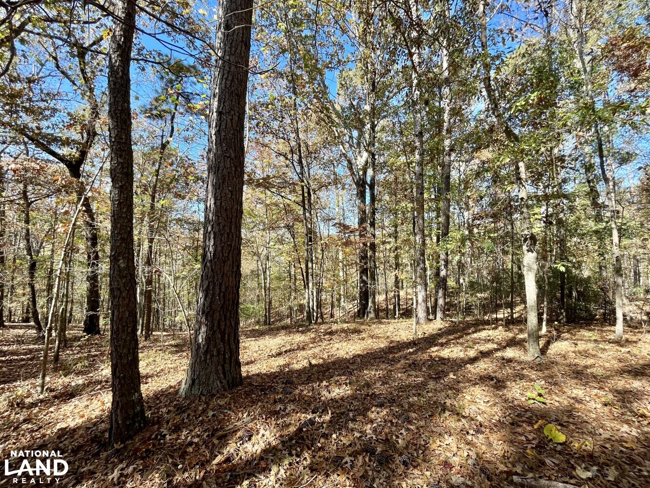 Dunnavant Valley Retreat West Tract in Shelby County, Alabama (27