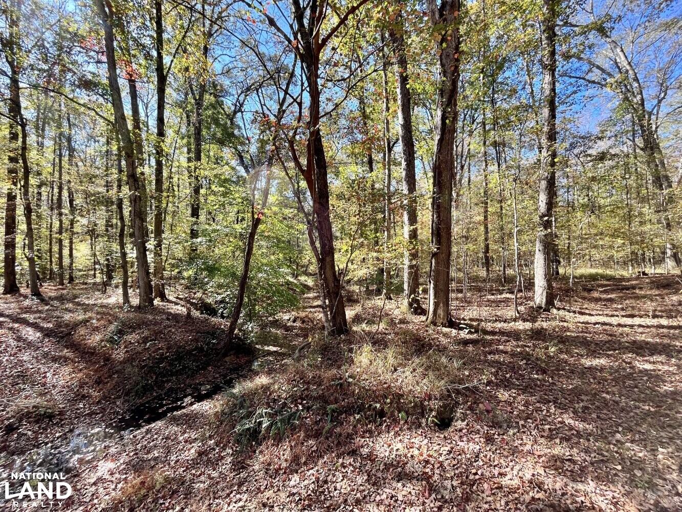 Dunnavant Valley Retreat West Tract in Shelby County, Alabama (27