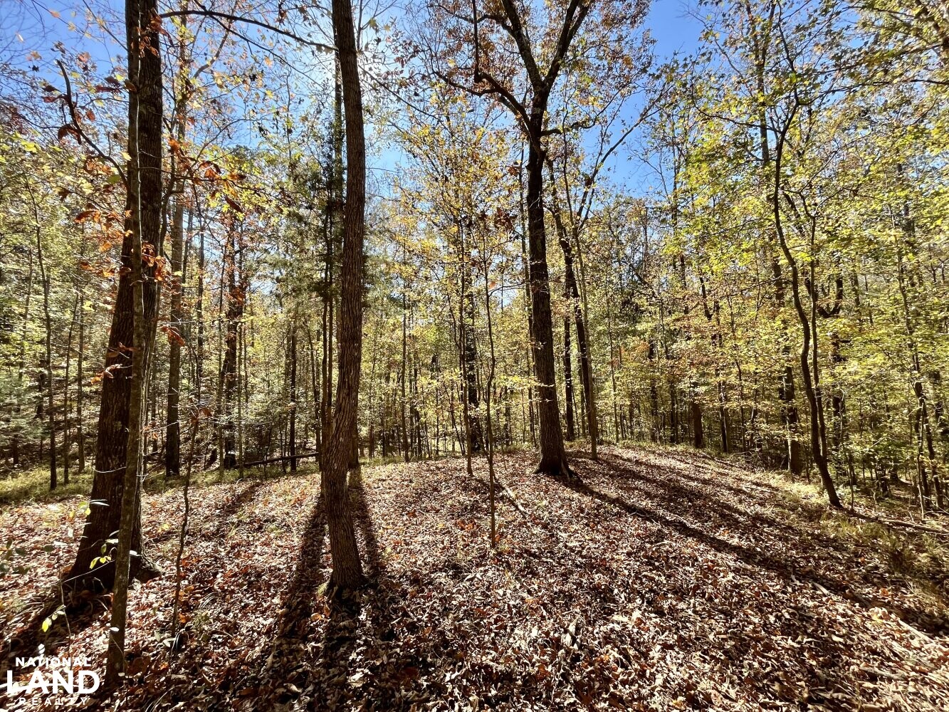 Dunnavant Valley Retreat West Tract in Shelby County, Alabama (27