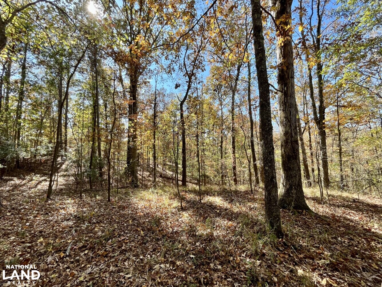 Dunnavant Valley Retreat West Tract in Shelby County, Alabama (27