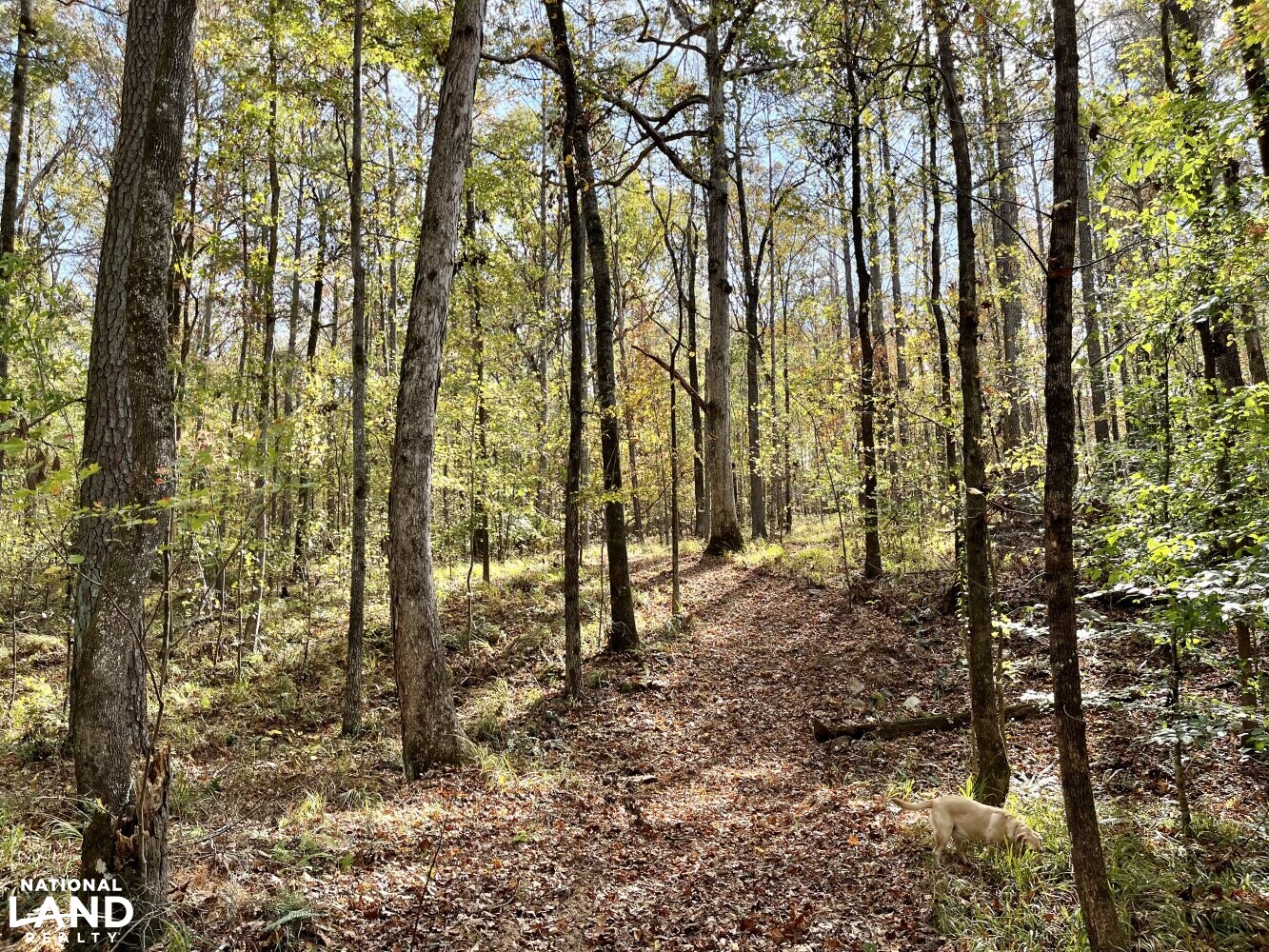 Dunnavant Valley Retreat West Tract in Shelby County, Alabama (27