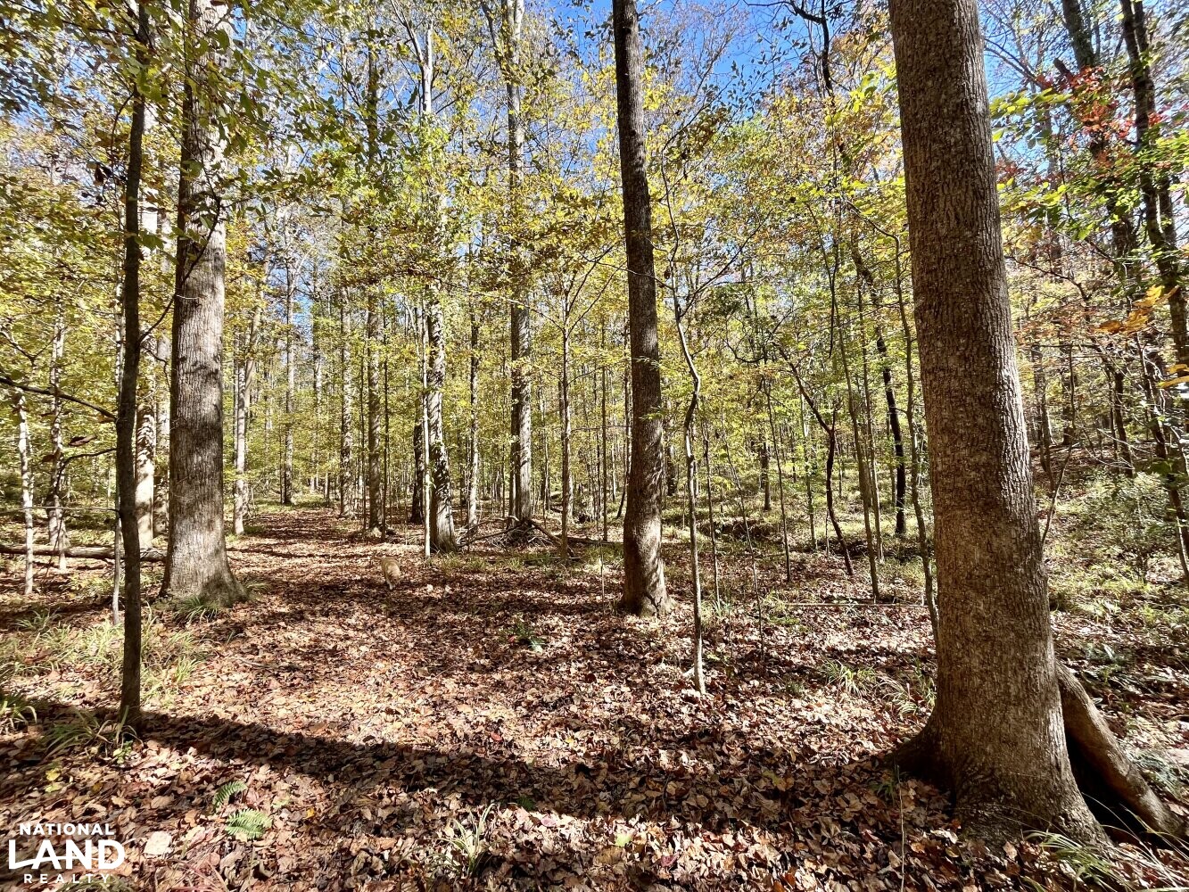Dunnavant Valley Retreat West Tract in Shelby County, Alabama (27