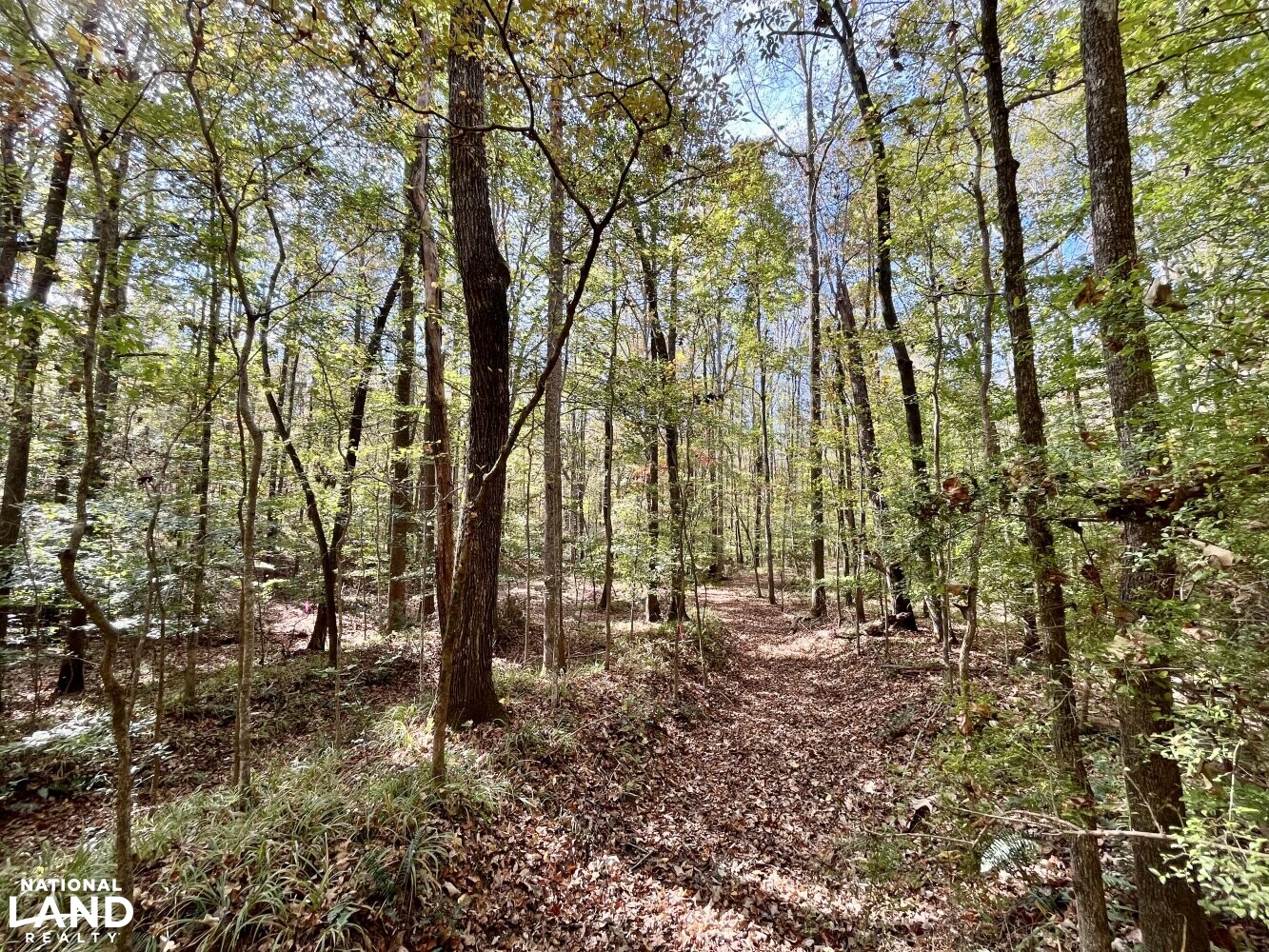 Dunnavant Valley Retreat West Tract in Shelby County, Alabama (27