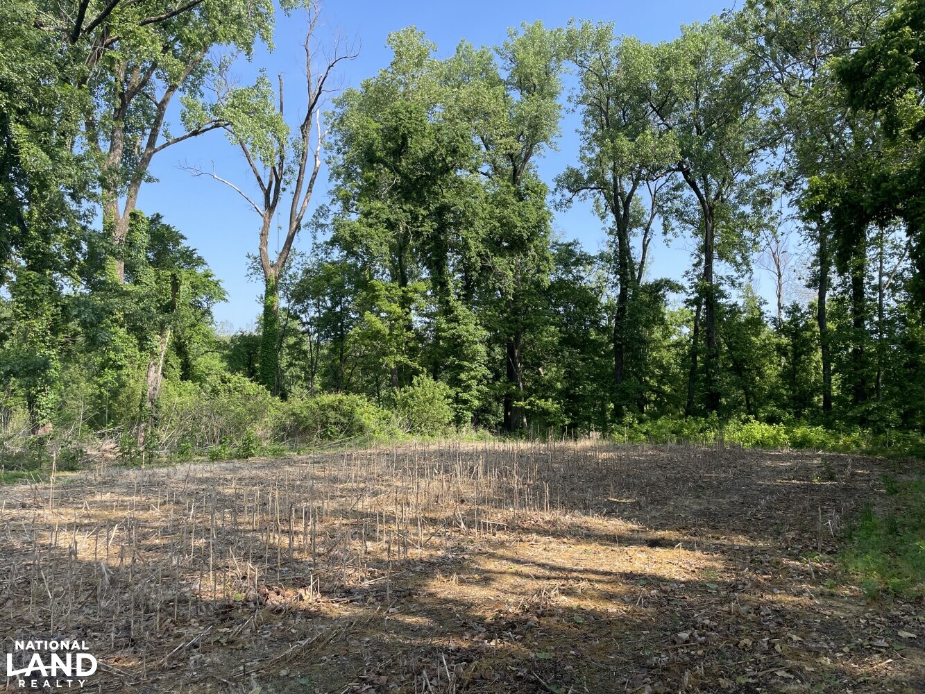 Mississippi River Bluff and Island in Tipton County, Tennessee (54