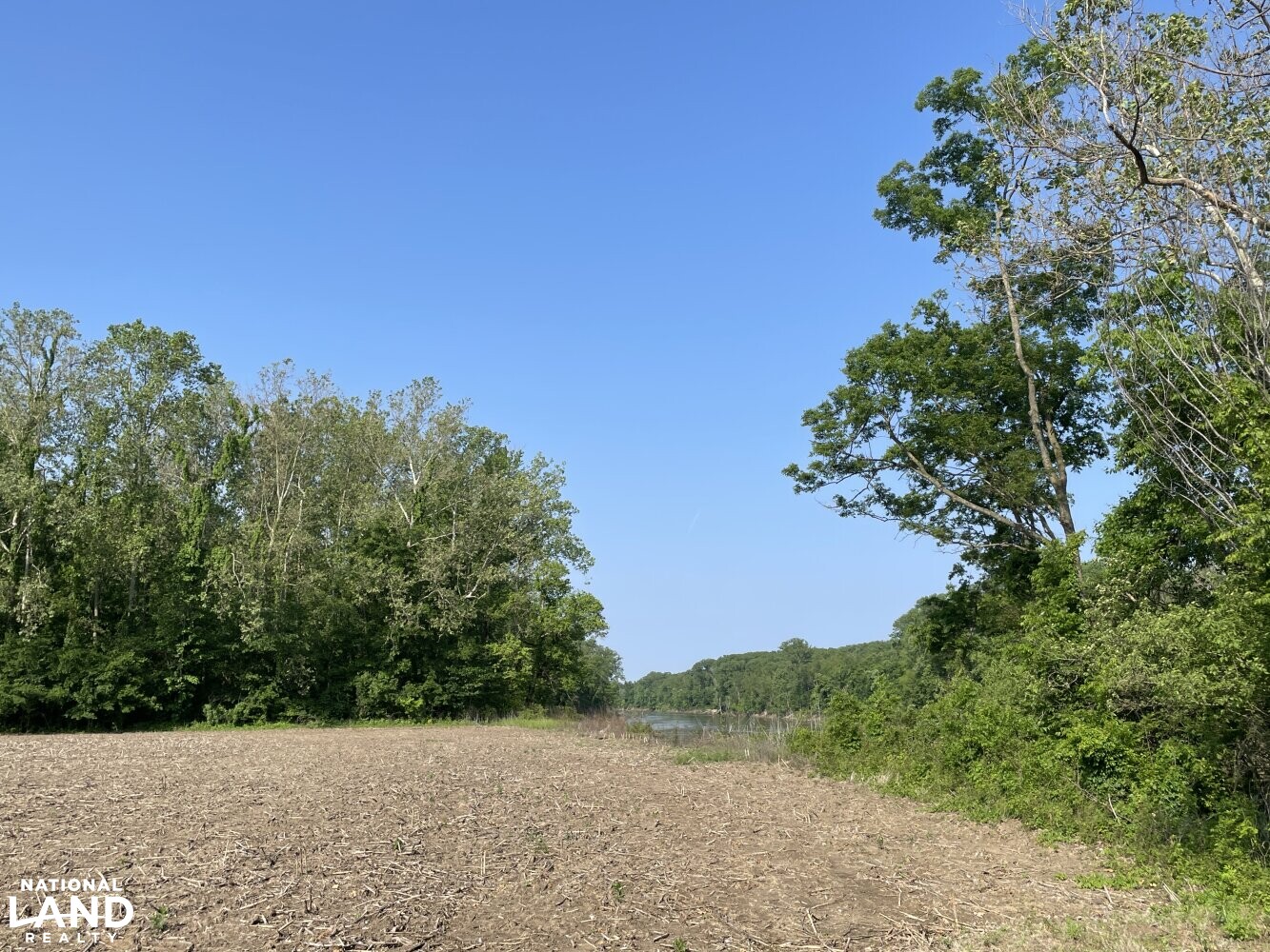 Mississippi River Bluff and Island in Tipton County, Tennessee (54