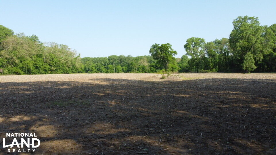 Mississippi River Bluff and Island in Tipton County, Tennessee (54
