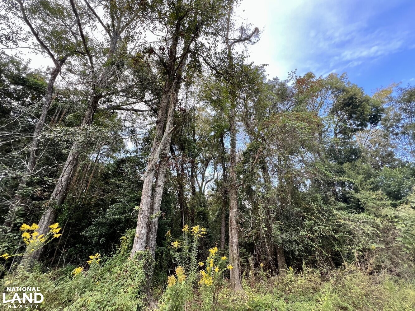 Riviere Du Chien Waterfront Development Site in Mobile County, Alabama