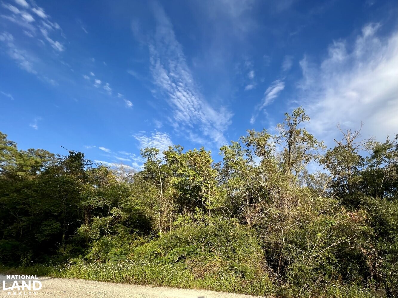 Riviere Du Chien Waterfront Development Site in Mobile County, Alabama