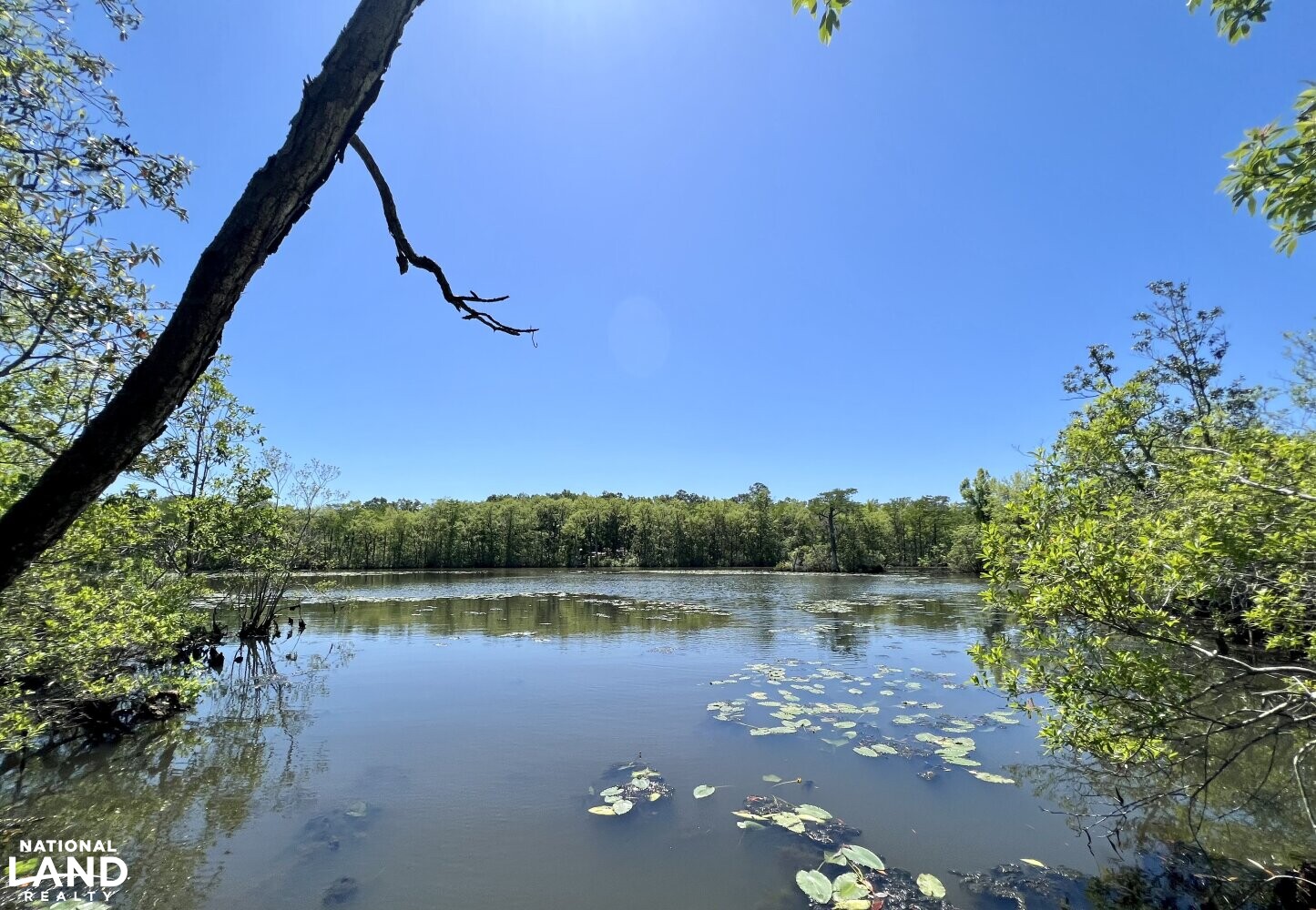 Riviere Du Chien Waterfront Development Site in Mobile County, Alabama