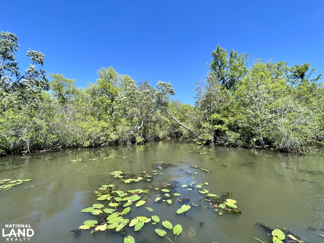 Riviere Du Chien Waterfront Development Site in Mobile County, Alabama