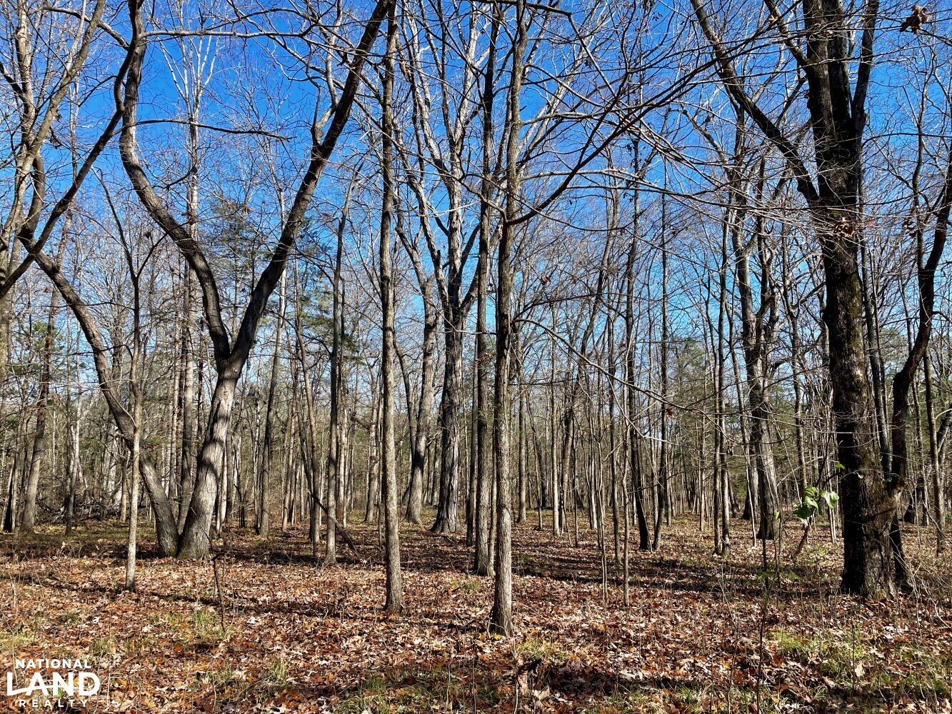 Four Roses Hunting, Fishing, and Recreational Farm & Lodge in Lowndes