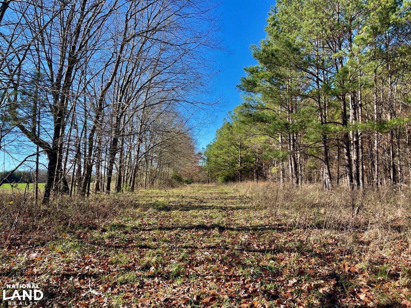 Four Roses Hunting, Fishing, and Recreational Farm & Lodge in Lowndes
