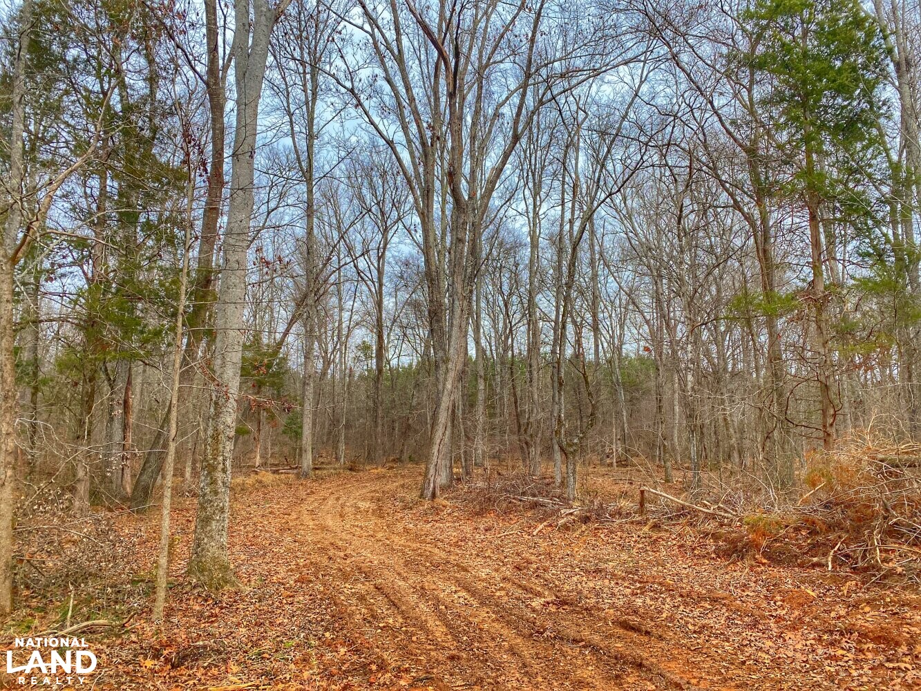 Little Grassy Creek Hunting and Timber Tract in Granville County, North