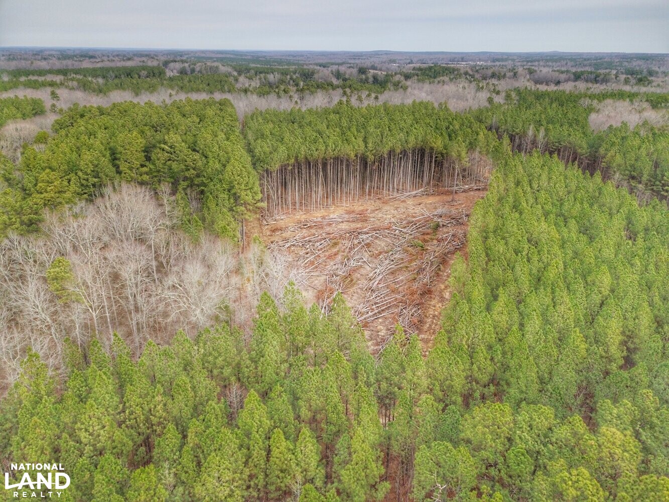 Little Grassy Creek Hunting and Timber Tract in Granville County, North