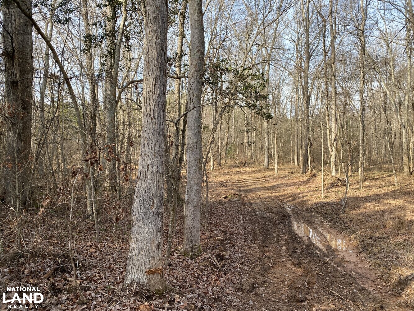 Little Grassy Creek Hunting and Timber Tract in Granville County, North
