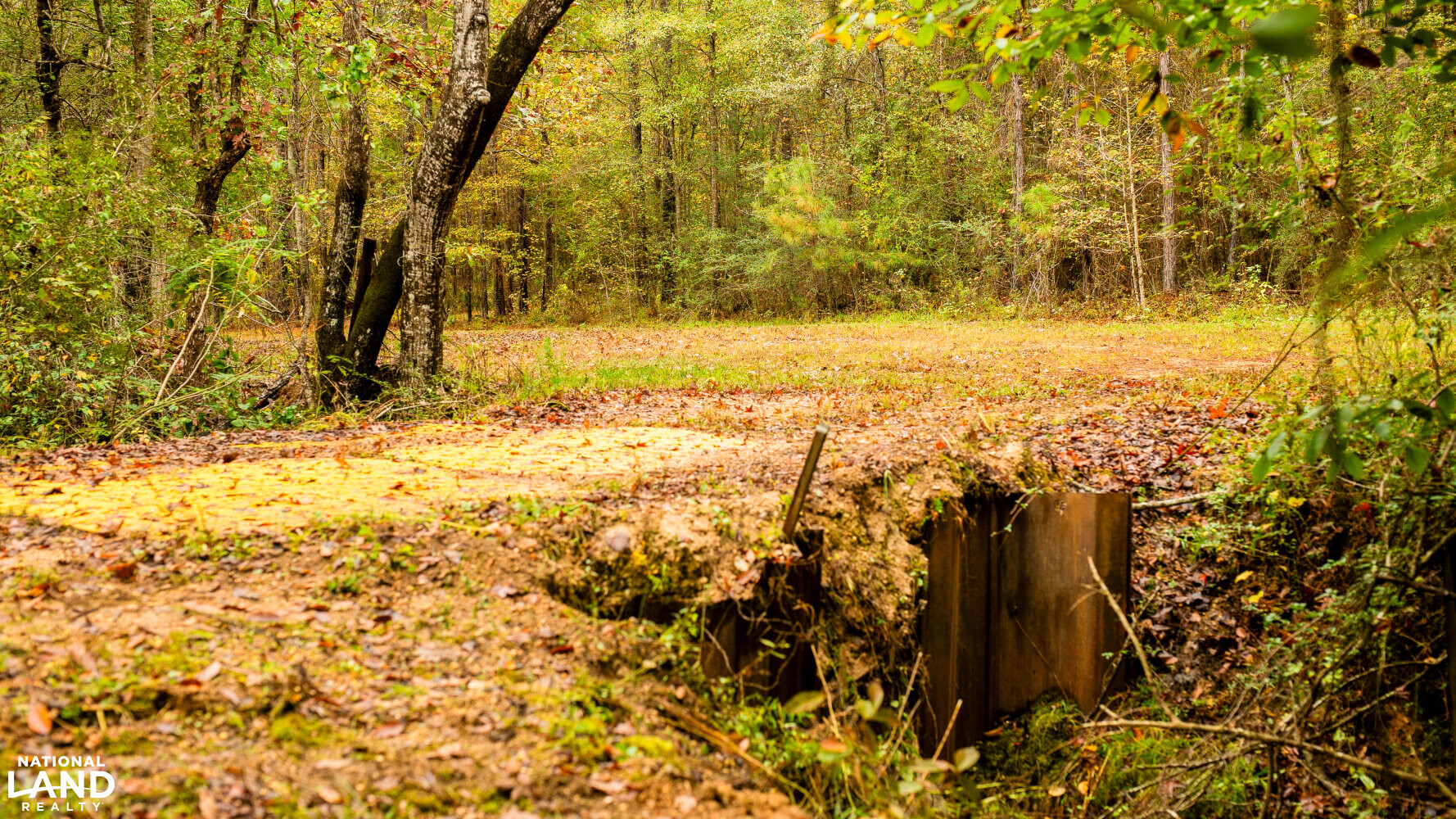 State Line Barndominium and Recreational Land in Marion County