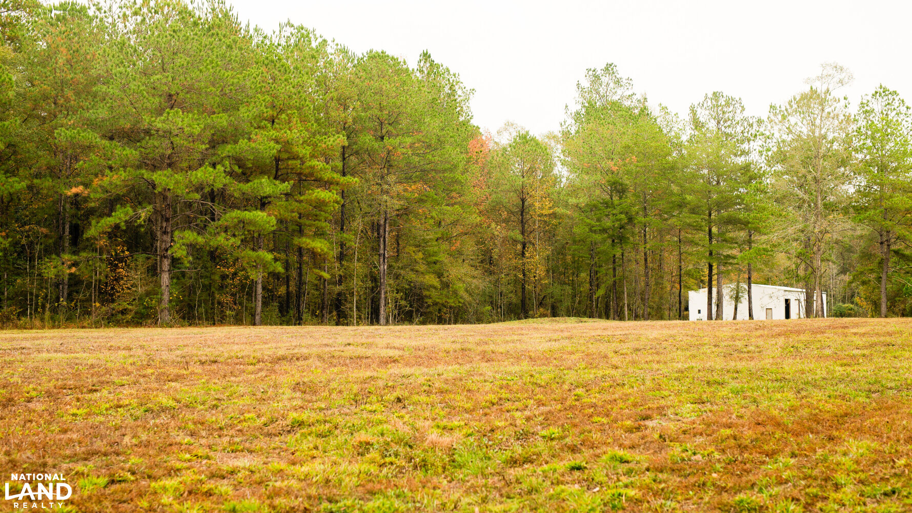State Line Barndominium and Recreational Land in Marion County