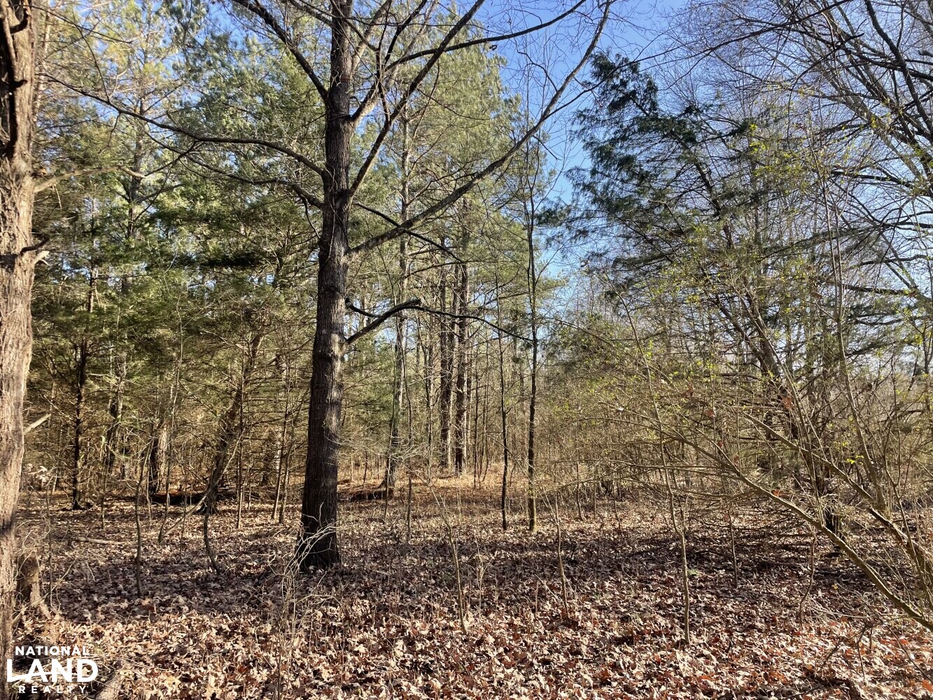 Drake Hill Road Open Residential Lot in Noxubee County, Mississippi (5