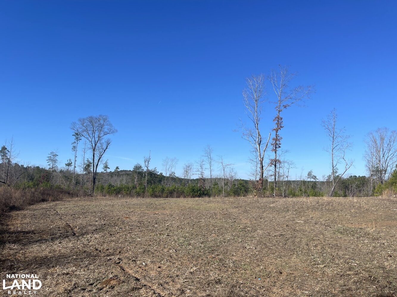 Tutwiler Recreational Tract in Walker County, Alabama (22 Photos