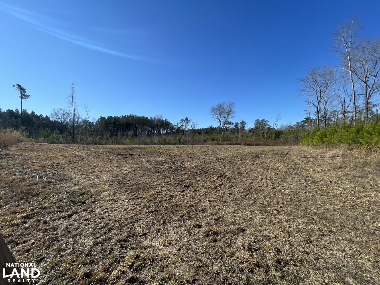 Tutwiler Recreational Tract in Walker County, Alabama (22 Photos