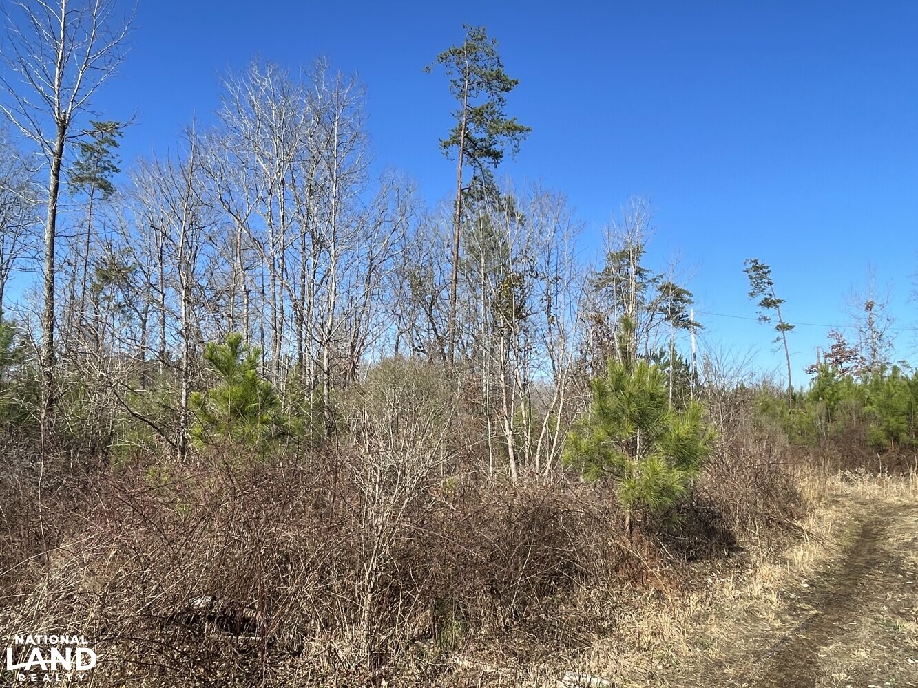 Tutwiler Recreational Tract in Walker County, Alabama (22 Photos