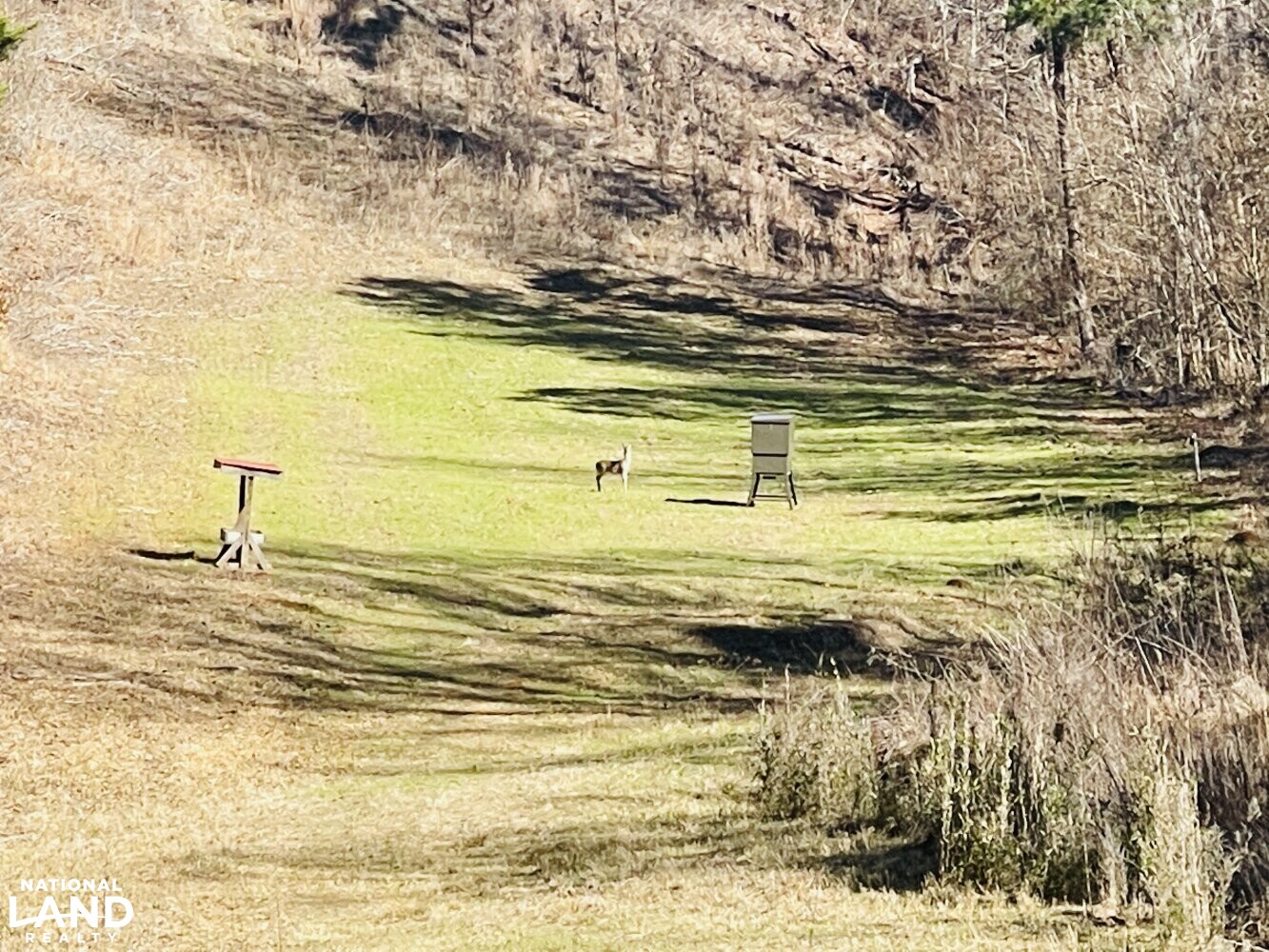 Tutwiler Recreational Tract in Walker County, Alabama (22 Photos