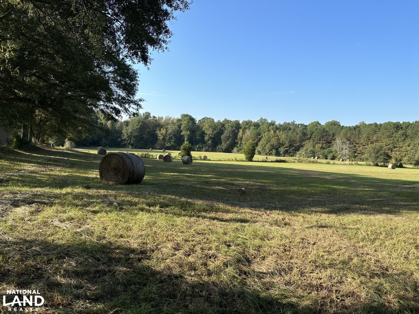 Mulberry Road MiniFarm in Lamar County, Alabama (28 Photos) National