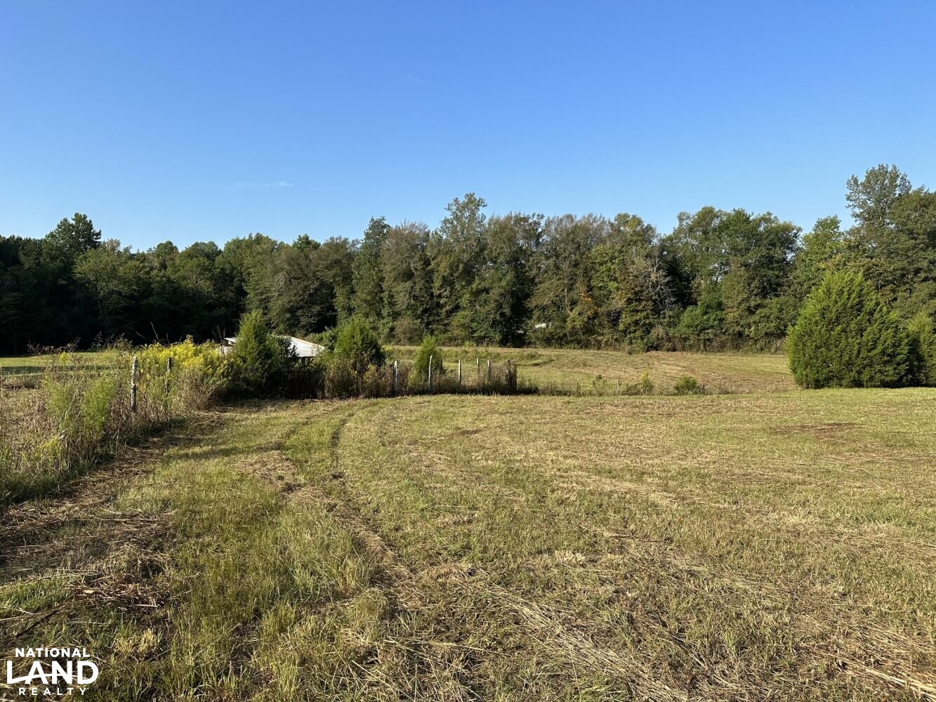 Mulberry Road MiniFarm in Lamar County, Alabama (28 Photos) National