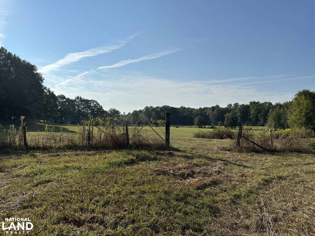 Mulberry Road MiniFarm in Lamar County, Alabama (28 Photos) National