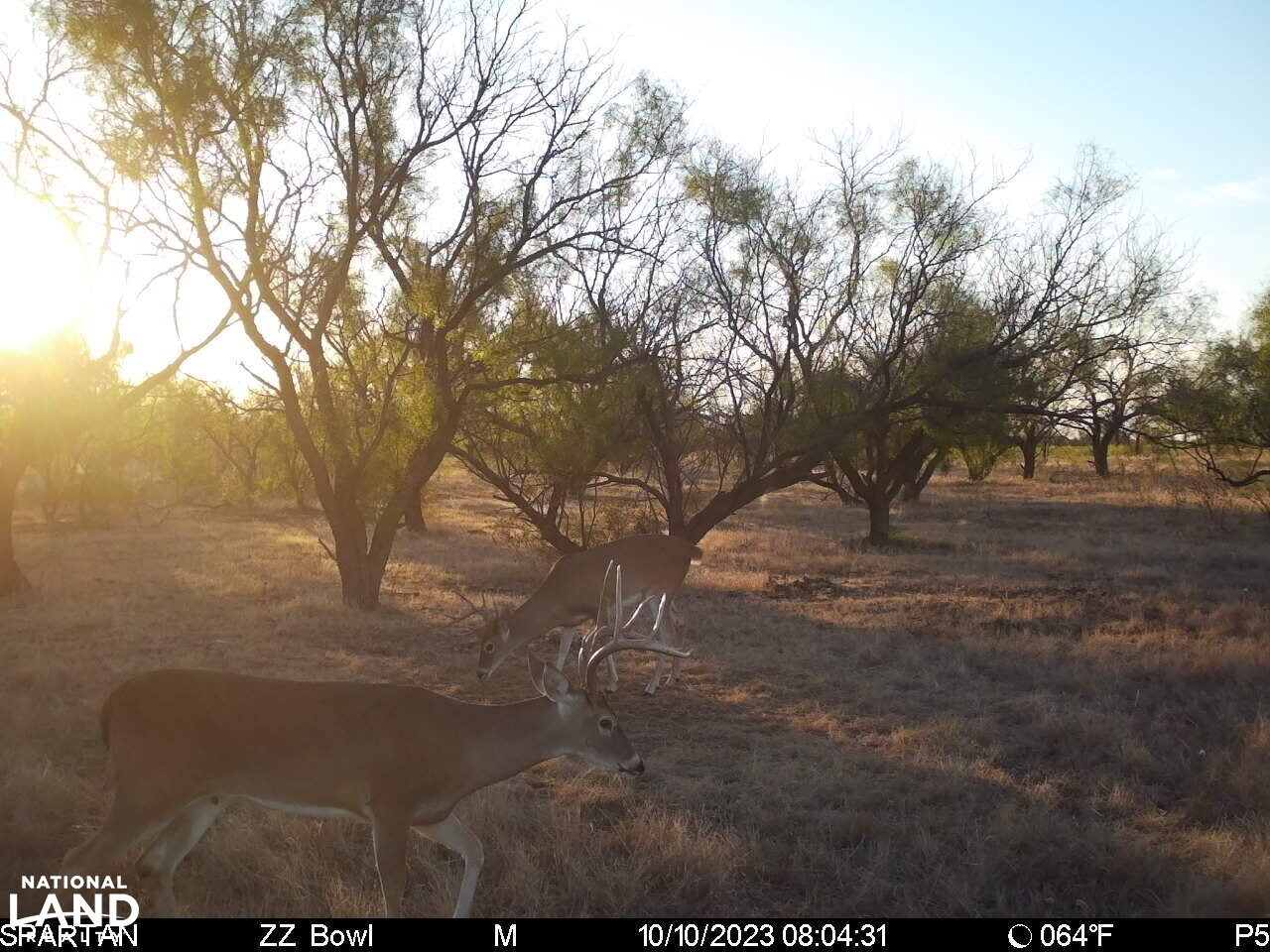 Outdoorsman's Getaway in Throckmorton County, Texas (38 Photos