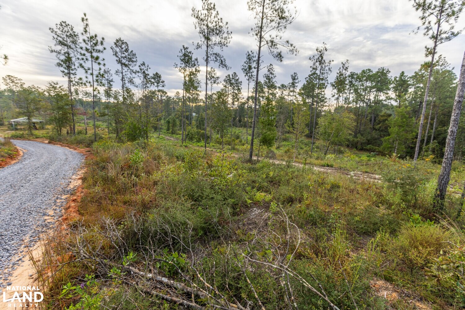 Whitehouse Creek Estates Homesite Lot 9 in Baldwin County, Alabama (16