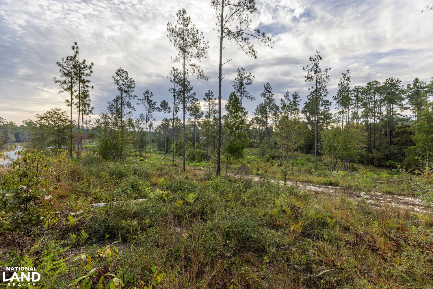 Whitehouse Creek Estates Homesite Lot 9 in Baldwin County, Alabama (16