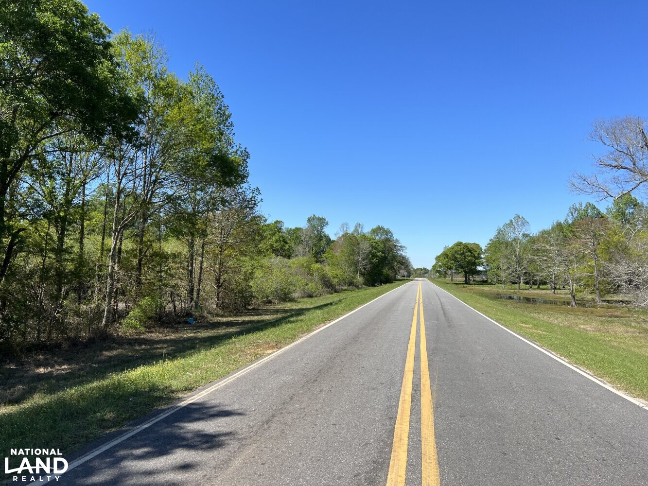Damascus Hilton Row Crop Farm in Early County, (17 Photos