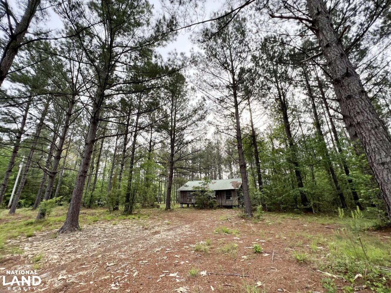 Chatom Little Bassetts Creek Hunting Camp & Recreational Tract in