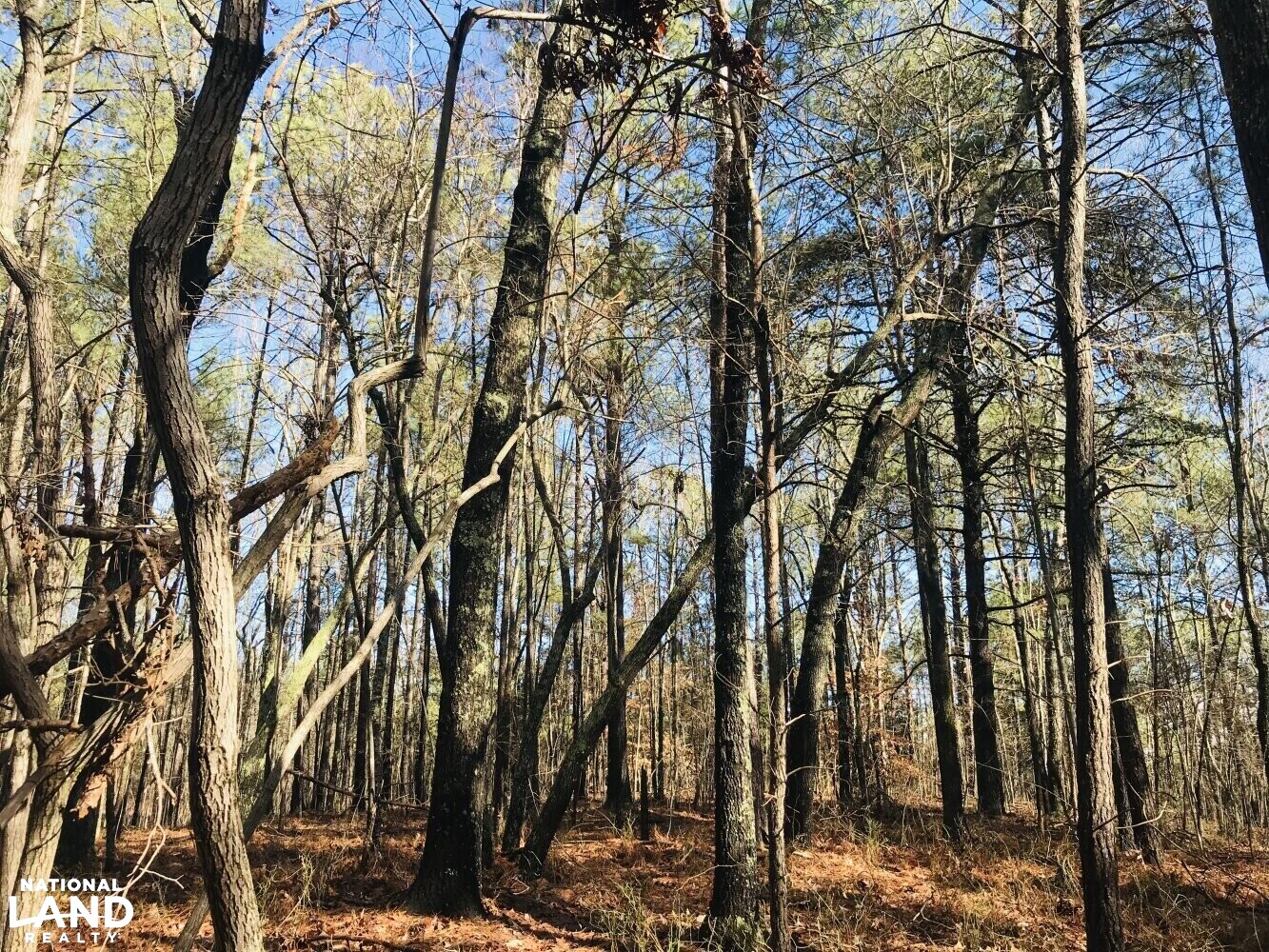 Homesite Recreational Land with Creek in Haralson County, (23