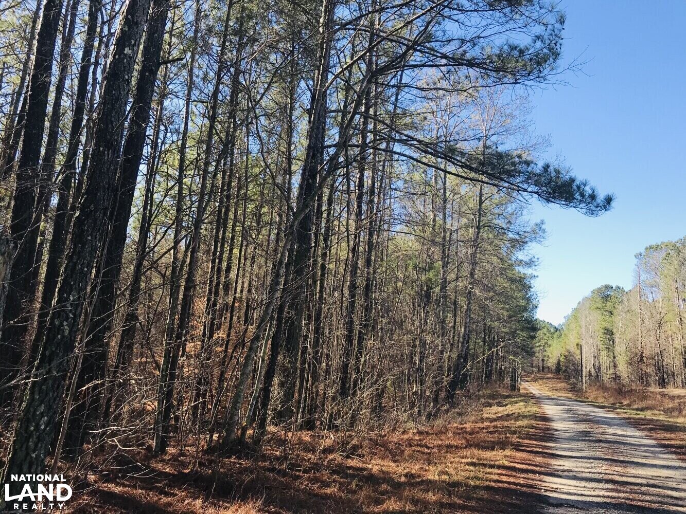 Homesite Recreational Land with Creek in Haralson County, (23