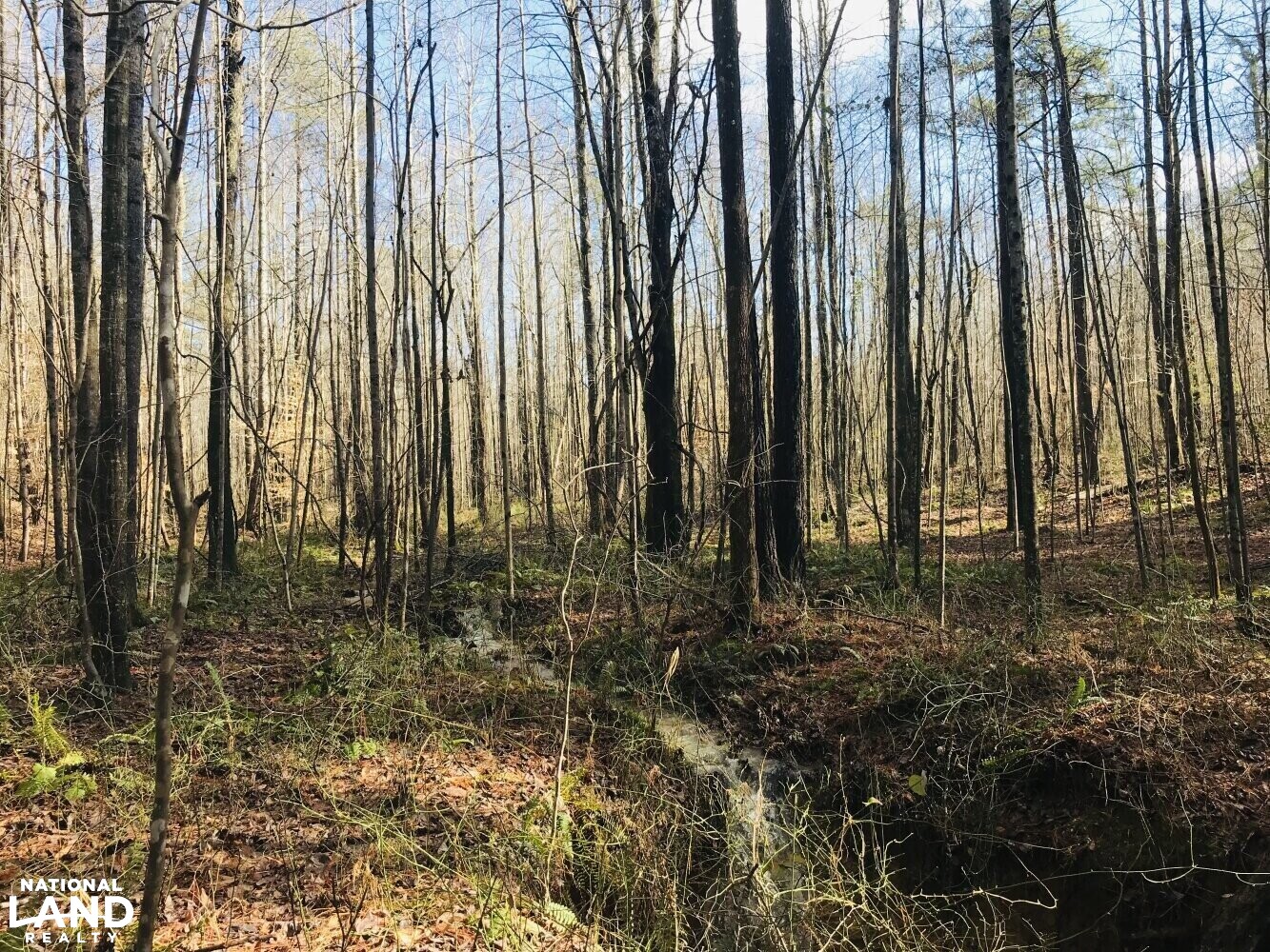 Homesite Recreational Land with Creek in Haralson County, (23