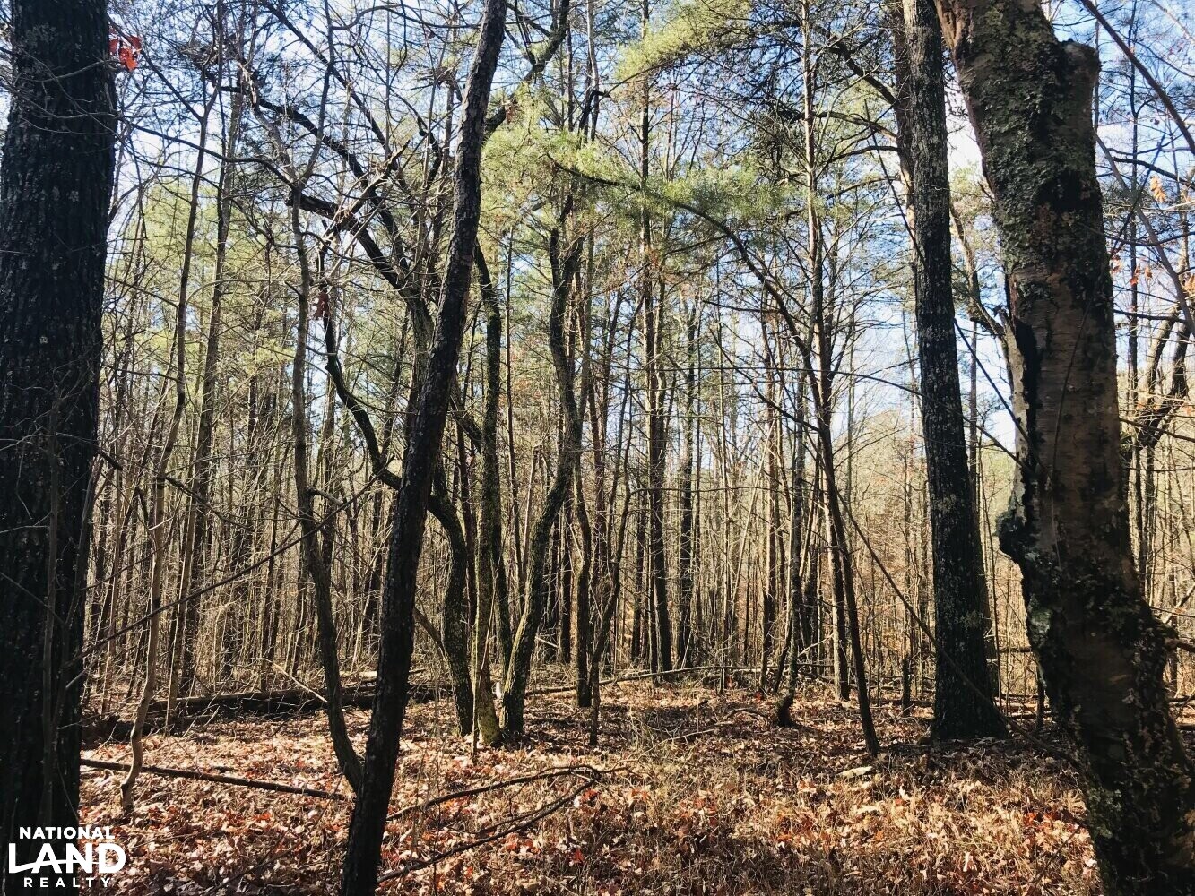 Homesite Recreational Land with Creek in Haralson County, (23