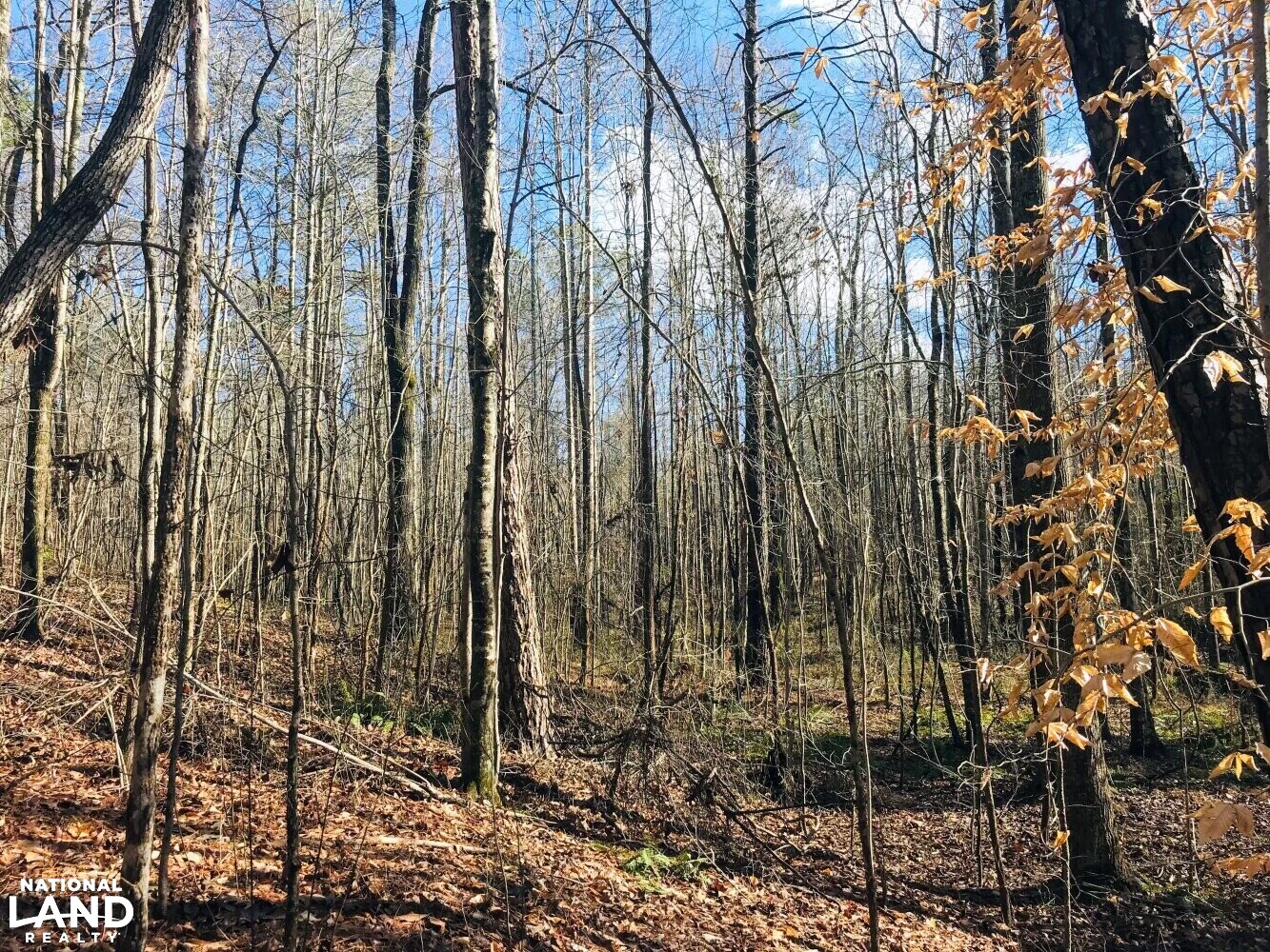 Homesite Recreational Land with Creek in Haralson County, (23