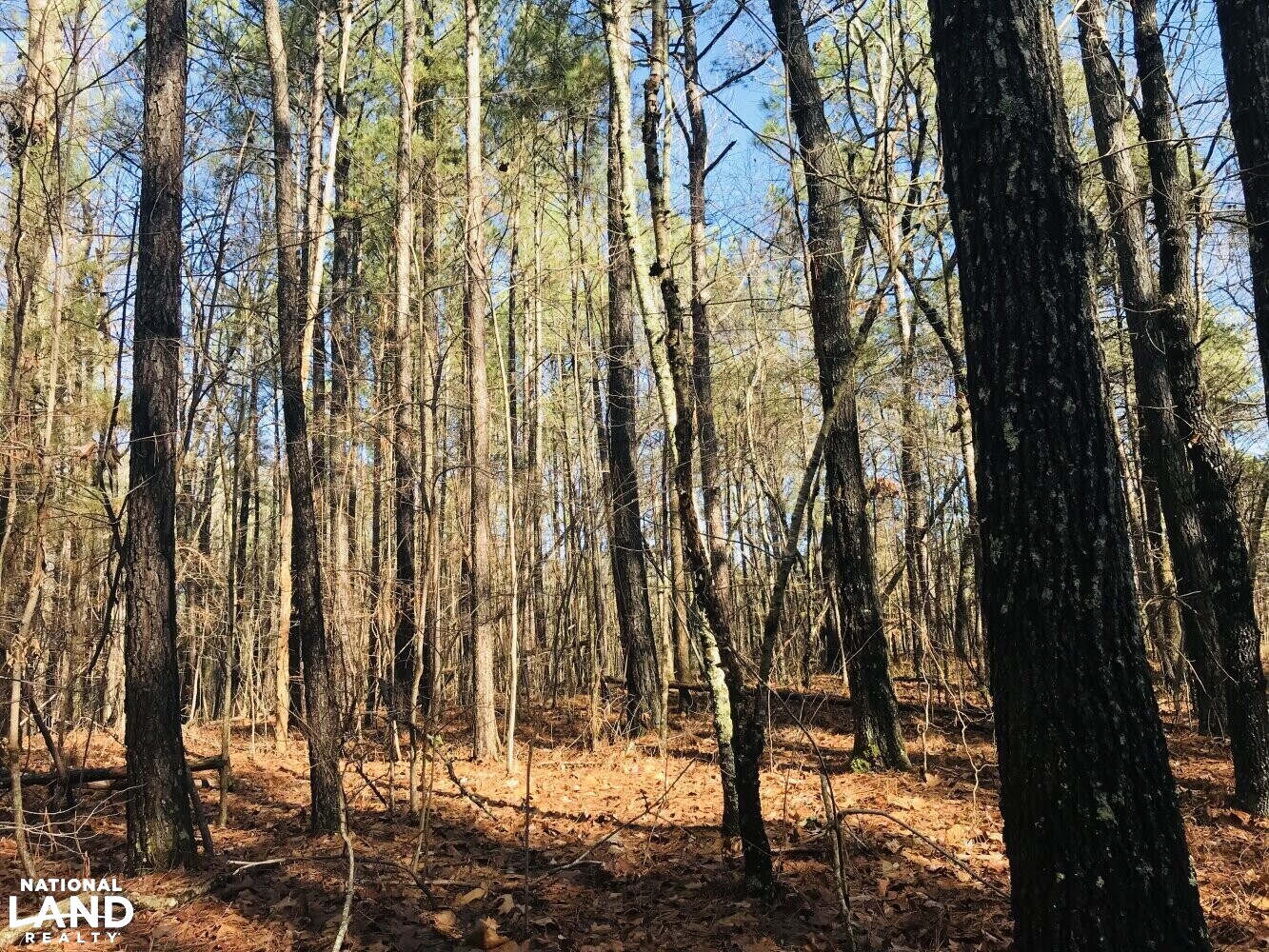 Homesite Recreational Land with Creek in Haralson County, (23