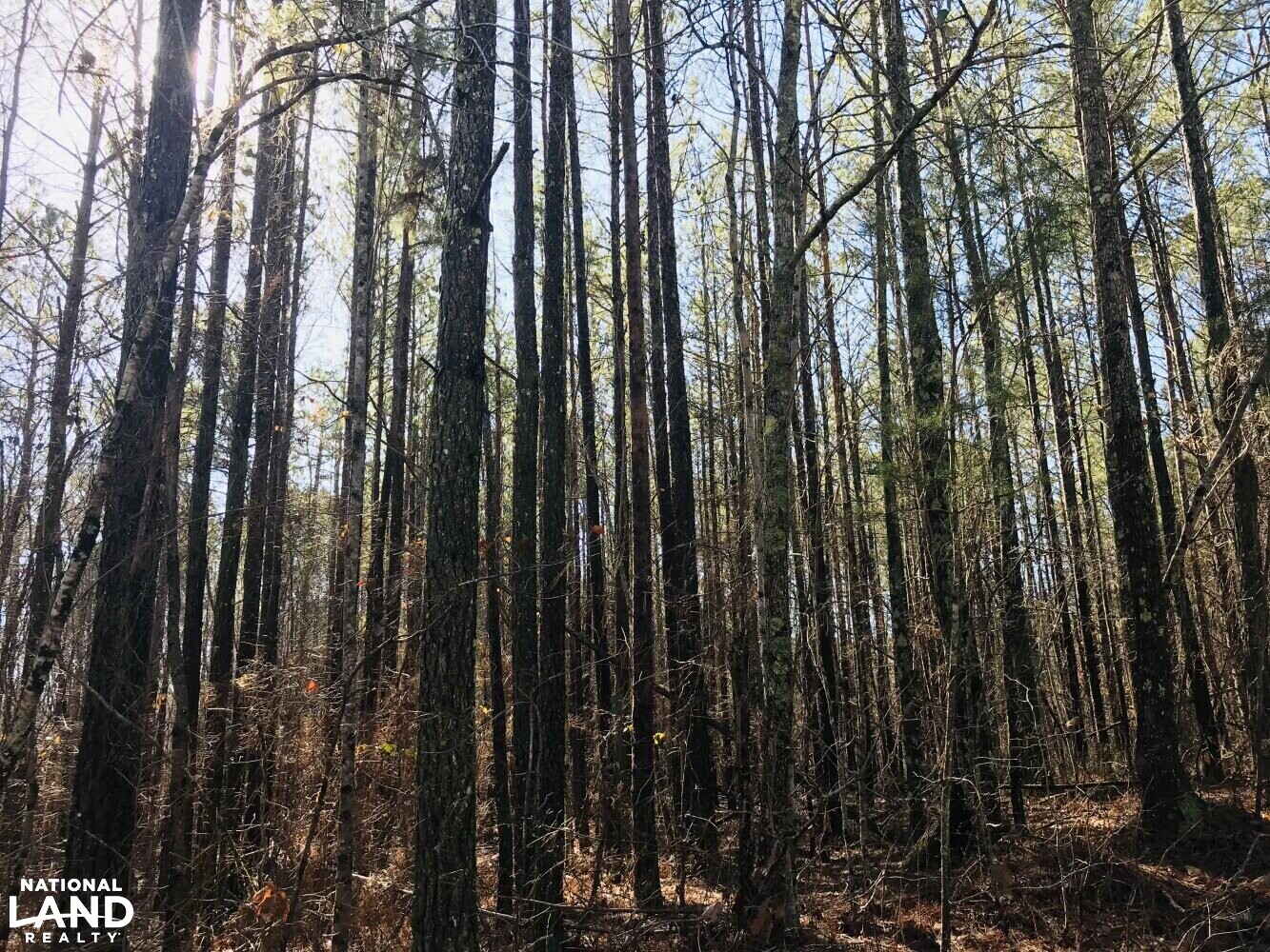 Homesite Recreational Land with Creek in Haralson County, (23