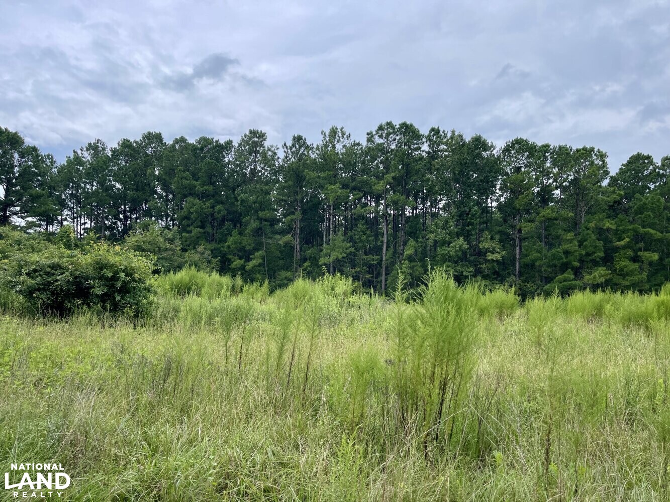 Ln Homestead in Brunswick County, North Carolina (12 Photos