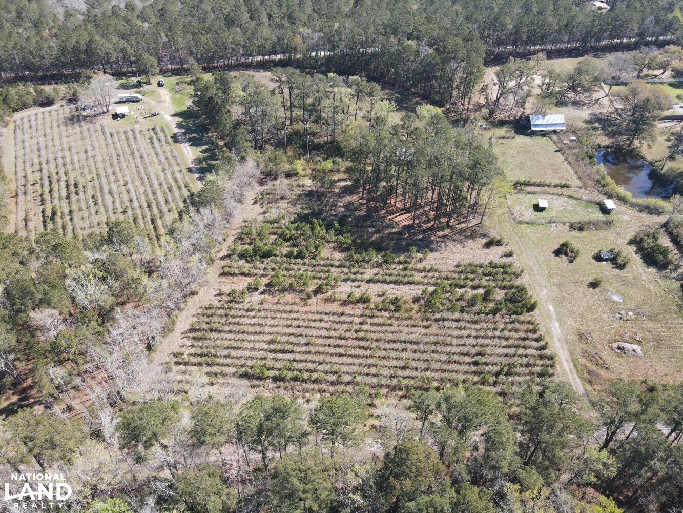 Ln Homestead in Brunswick County, North Carolina (12 Photos