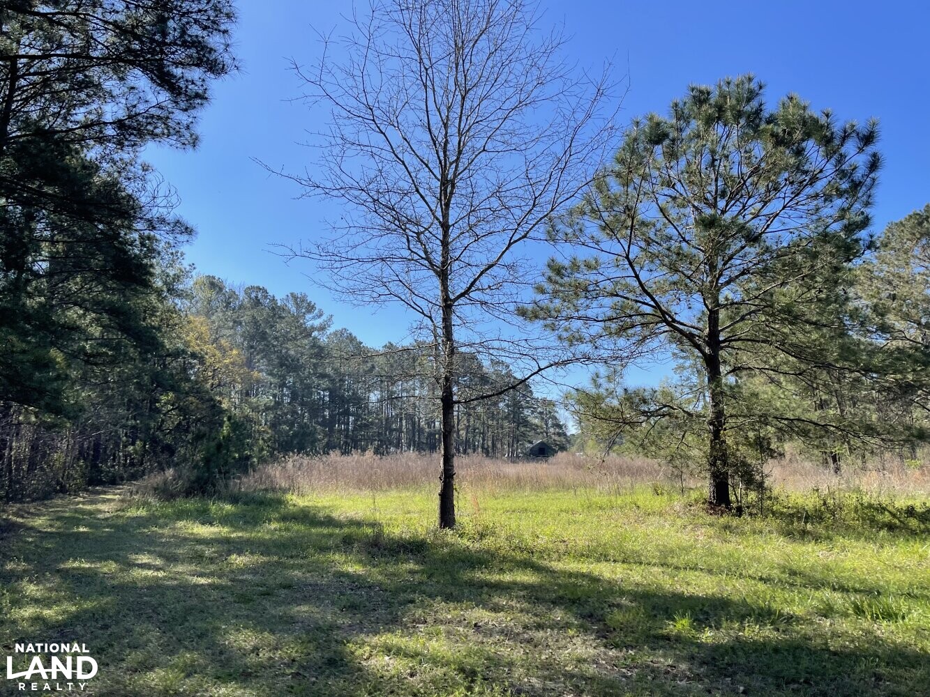 Ln Homestead in Brunswick County, North Carolina (12 Photos