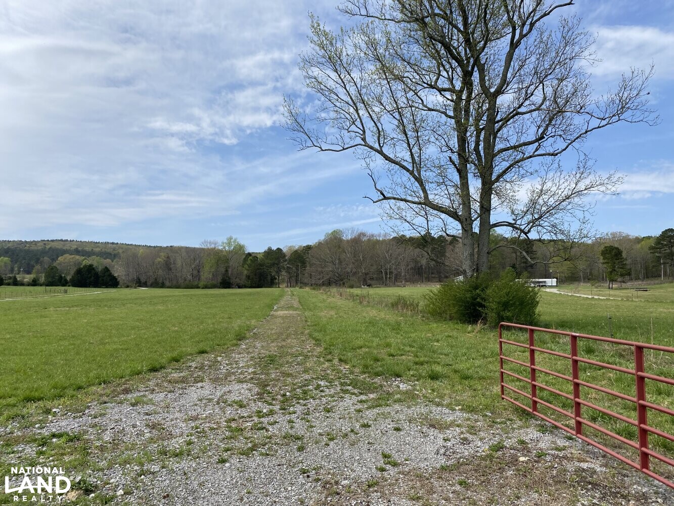 Dutton Creek 80 in Lawrence County, Alabama (12 Photos) National Land