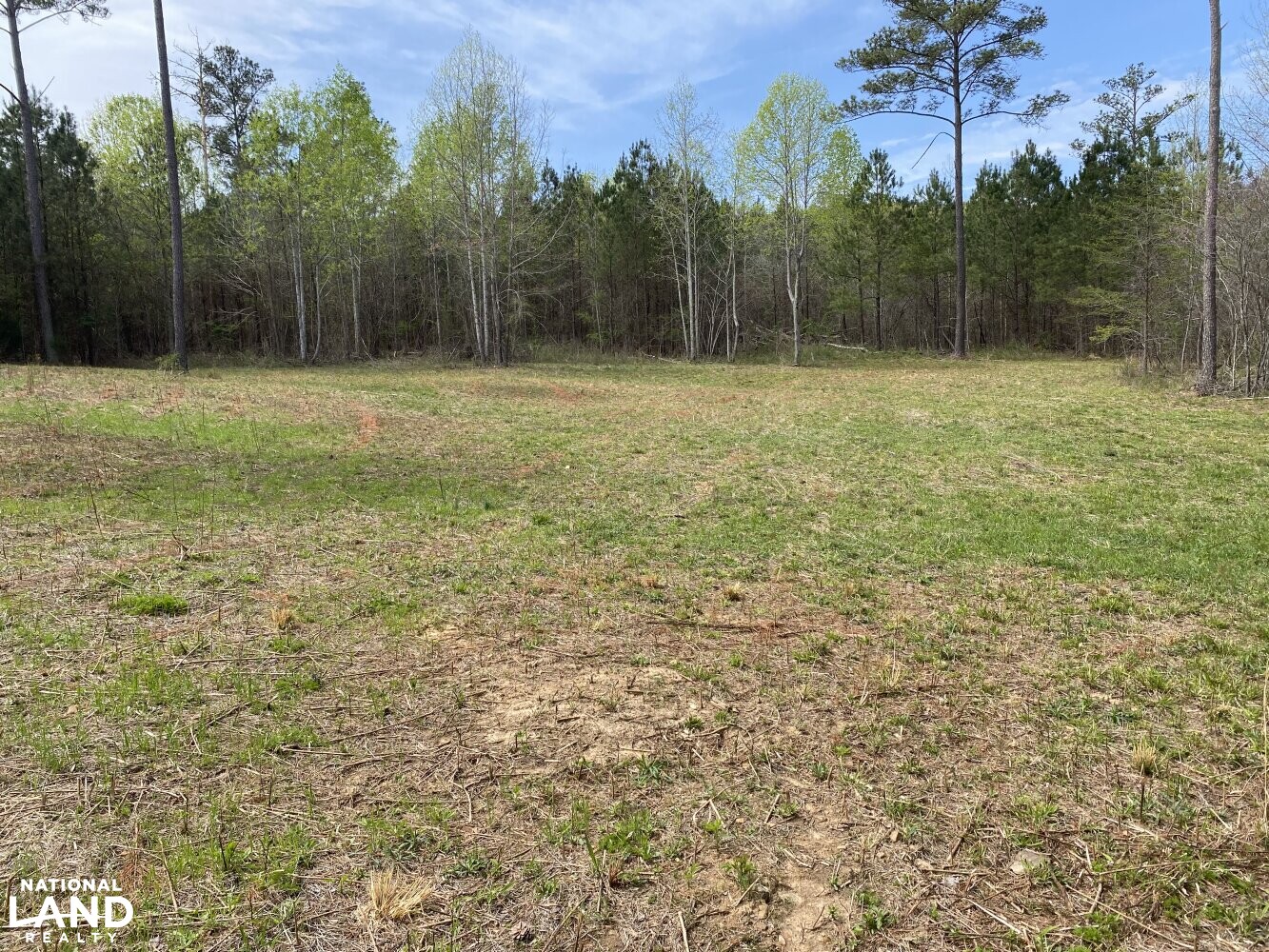 Dutton Creek 80 in Lawrence County, Alabama (12 Photos) National Land